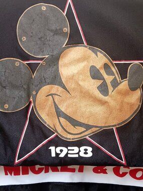 True Vintage Medium Hockey Jersey Disney Mickey & Co. 1928 V-Neck 1990s NWOT